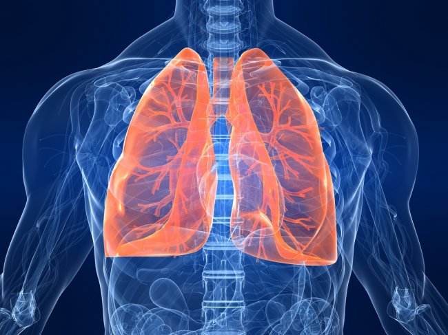 Therapy area: respiratory
